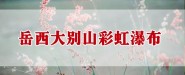 eɽʺٲ޹˾